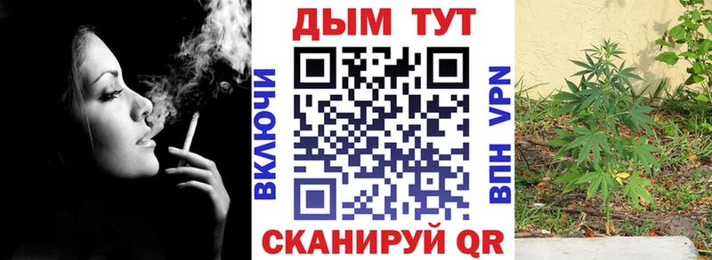 цена наркотик  KRAKEN tor  МАРИХУАНА SATIVA & INDICA  Ардон 